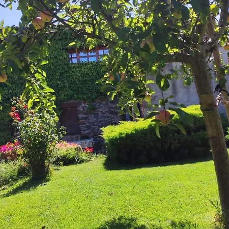 Kır Evi Casa De Piedra En *