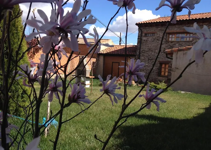 Casa De Piedra En בית כפרי