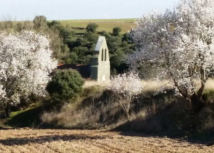בית כפרי Casa De Piedra En *